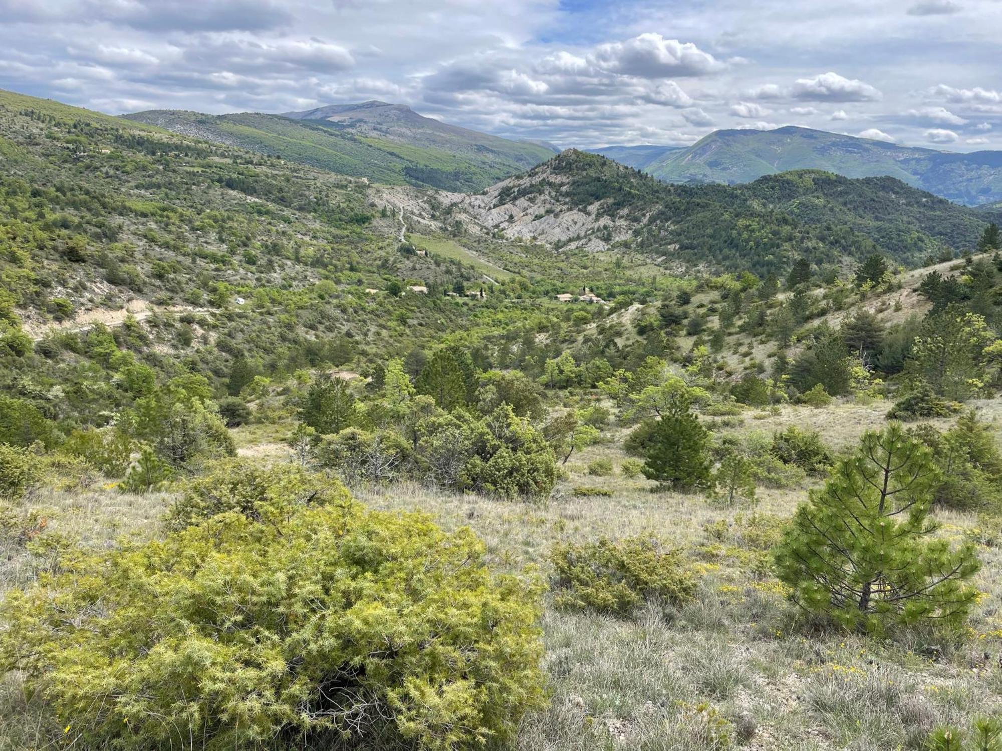 La Maison De Vergol Montbrun-les-Bains Exteriér fotografie